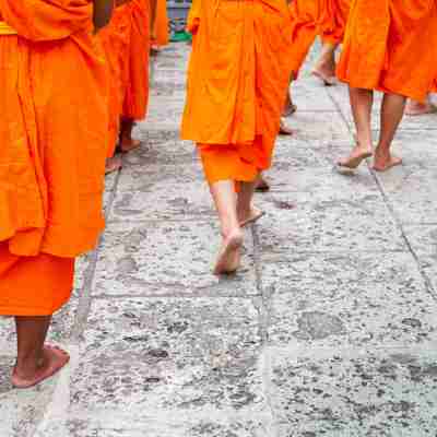 Mød en munk, Chiang Mai, Thailand