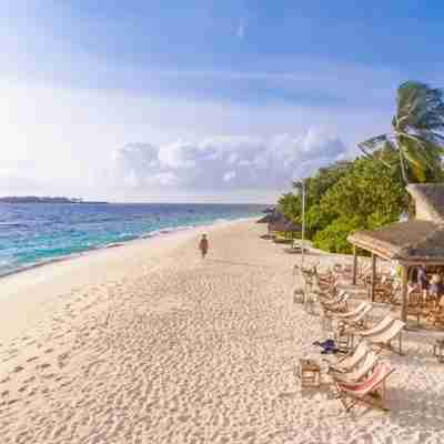 Bounty strand på Reethi Beach Resort Maldiverne