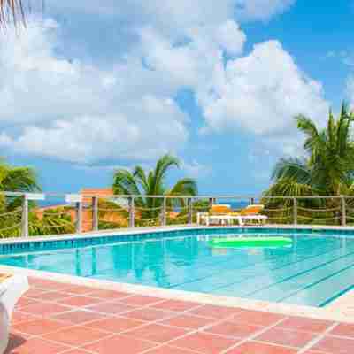 Swimminpool på Caribbean Blub Bonaire