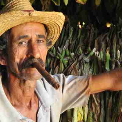 cubansk tobak oplevelse på kør selv ferie
