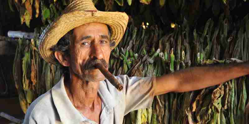 cubansk tobak oplevelse på kør selv ferie