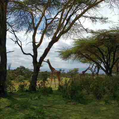 Kenya-Experience_Lake Naivasha_4