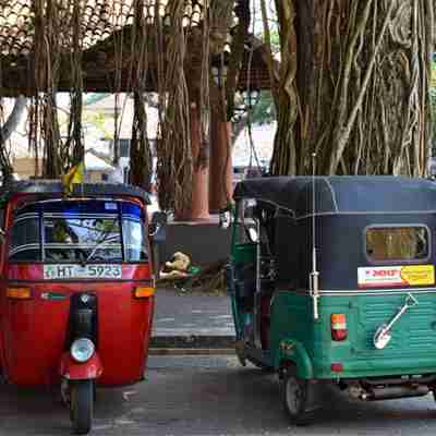 Rickshaws på rejse til Sri Lanka