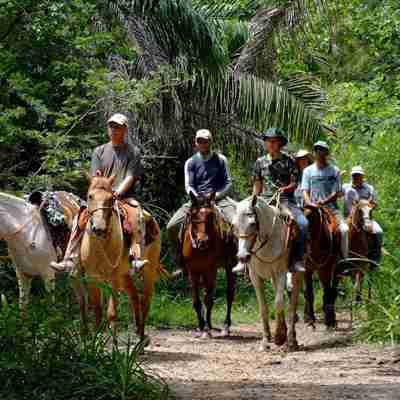 Oplev Pantanal fra hesteryg, Brasilien