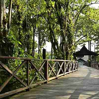 Sakau Rainforest Lodge, Borneo