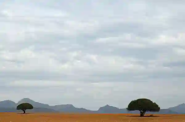Karoo landskab, Sydafrika