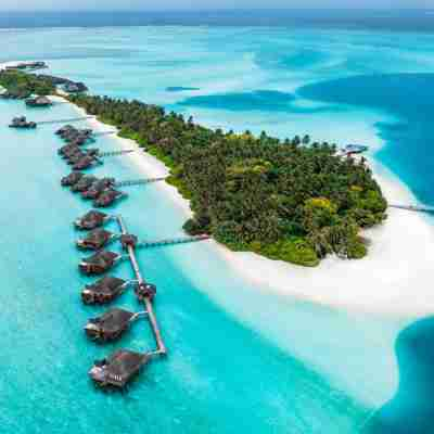 Oversigtsbillede af på Conrad Ringali Island. Maldiverne