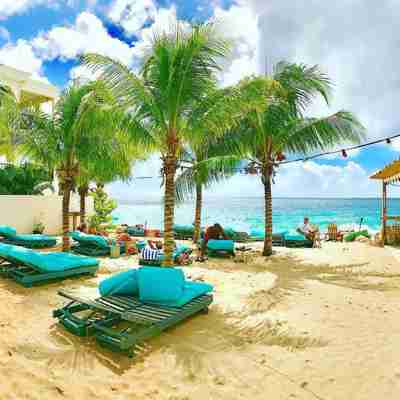 Solstole og palmer på stranden ved hotellet
