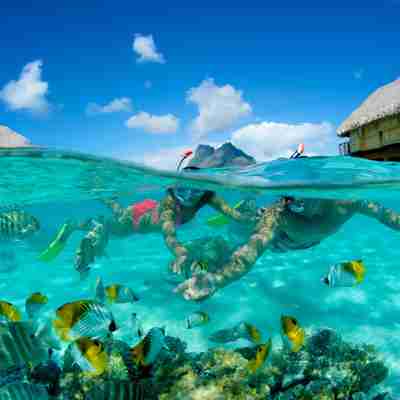 Bora Bora Pearl Beach Resort & Spa5