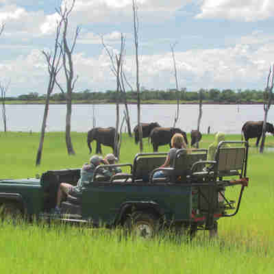 jeep safari i matusadona