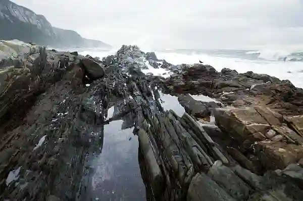 View of ocean from rocks, Tsitsikamma, Garden Route, Western Cape Province