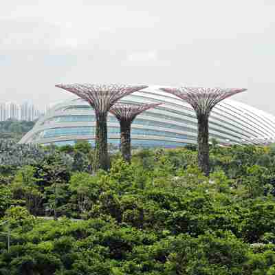 Udsigt over botanisk have, Singapore
