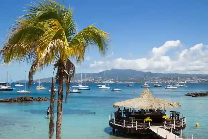 Palme bådhavn Martinique