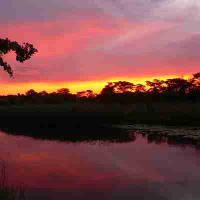 Smuk solnedgang i Okavango deltaet, Botswana, Afrika