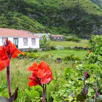 På Faial ligger hyggelige huse i det grønne landskab