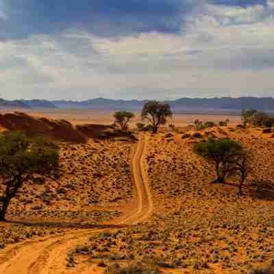 Sti i den namibiske ørken