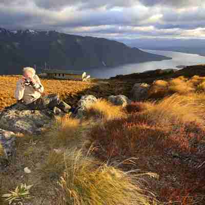 Kepler Track, Fiordland National Park, Fiordland, New Zealand