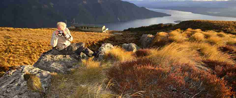 Kepler Track, Fiordland National Park, Fiordland, New Zealand