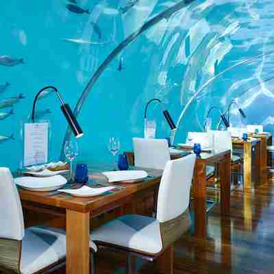 Restaurant under vandet på Conrad Rangali Maldiverne