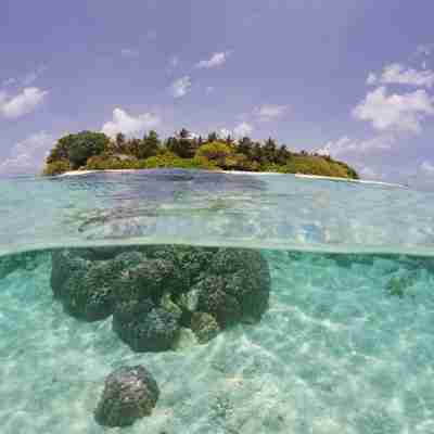 Vandet er helt klart på Royal Island Resort & Spa, Baa Atoll, Maldiverne