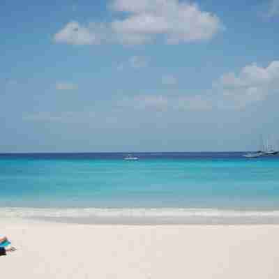 En af Barbados' mange smukke strande