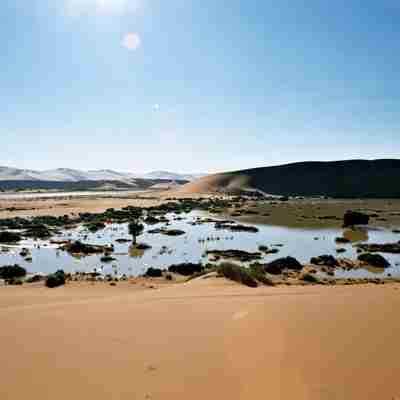 Flodleje i den namibiske ørken