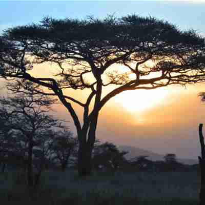 Udsigt i Masai Mara Game Reserve