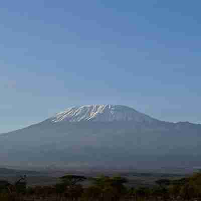 Se Kilimanjaro på safari i Kenya