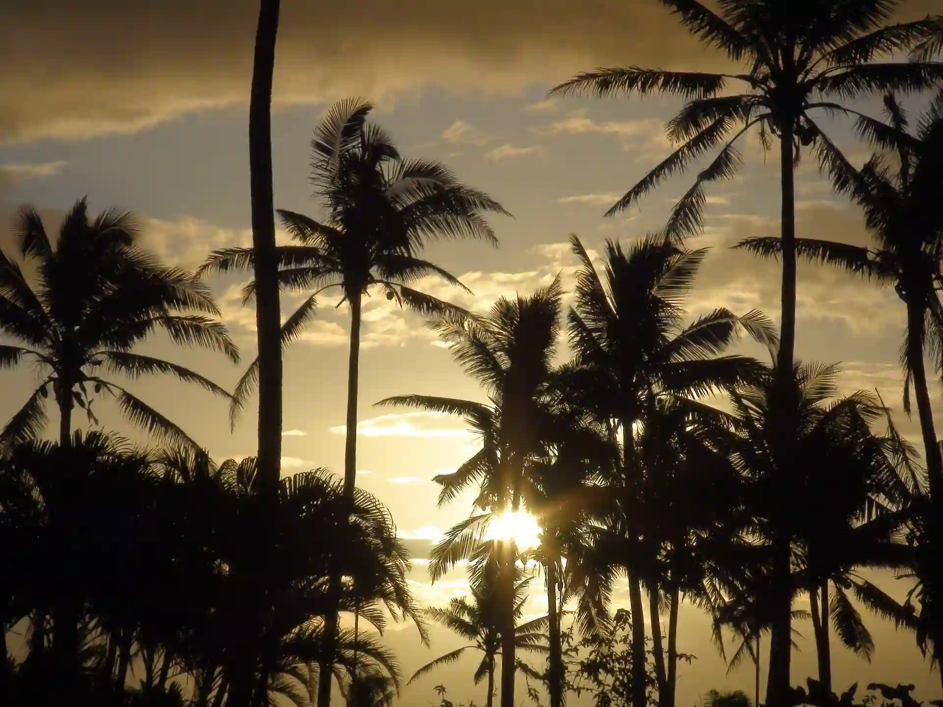 Solnedgang, Fiji