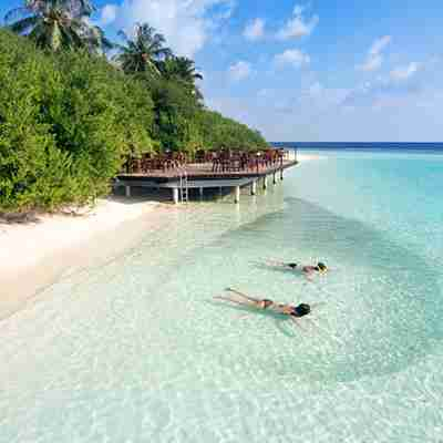 Snorkling skal man da prøve på Embudu Village i Maldiverne