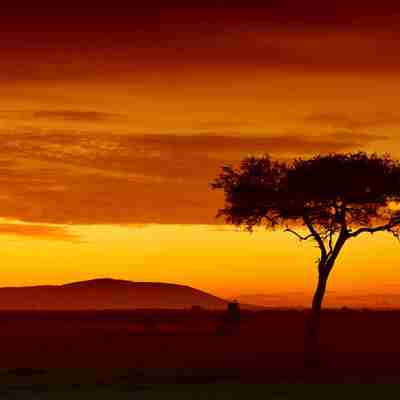 Flot solnedgang, Kenya