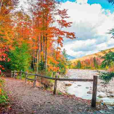 Mange flotte farver i naturen i White Mountains New Hampshire