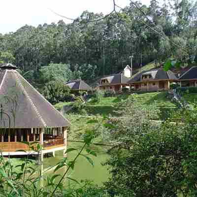 Lodge i frodigt område på Madagaskar