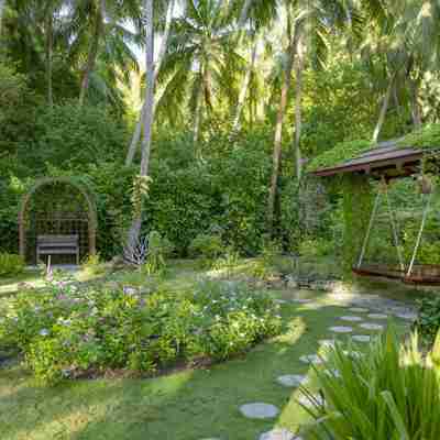 Den hyggelige have på Royal Island Resort & Spa, Baa Atoll, Maldiverne