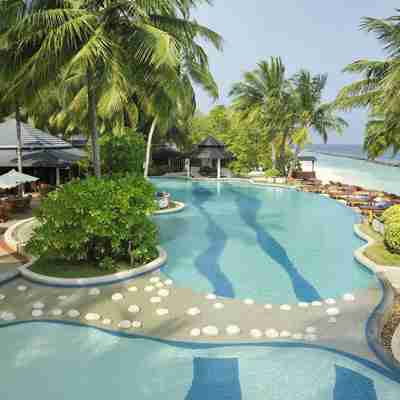 Poolen eller havet? Valget er svært på Royal Island Resort & Spa, Baa Atoll, Maldiverne