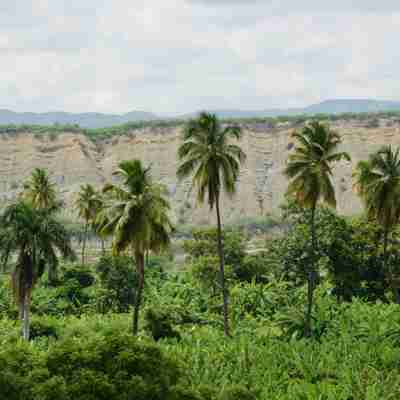 Den grønne Cibao Valley,  Den Dominikanske Republik