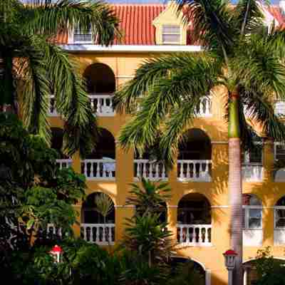 Hotellet omgivet af palmer