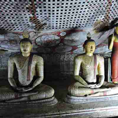 Statuer i grotterne, Dambulla, Sri Lanka