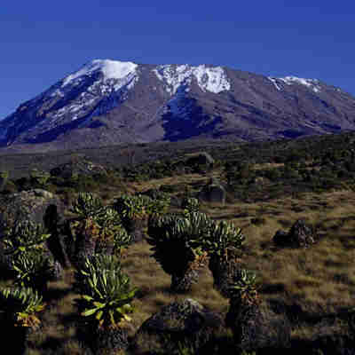 Kilimanjao fra Horombo