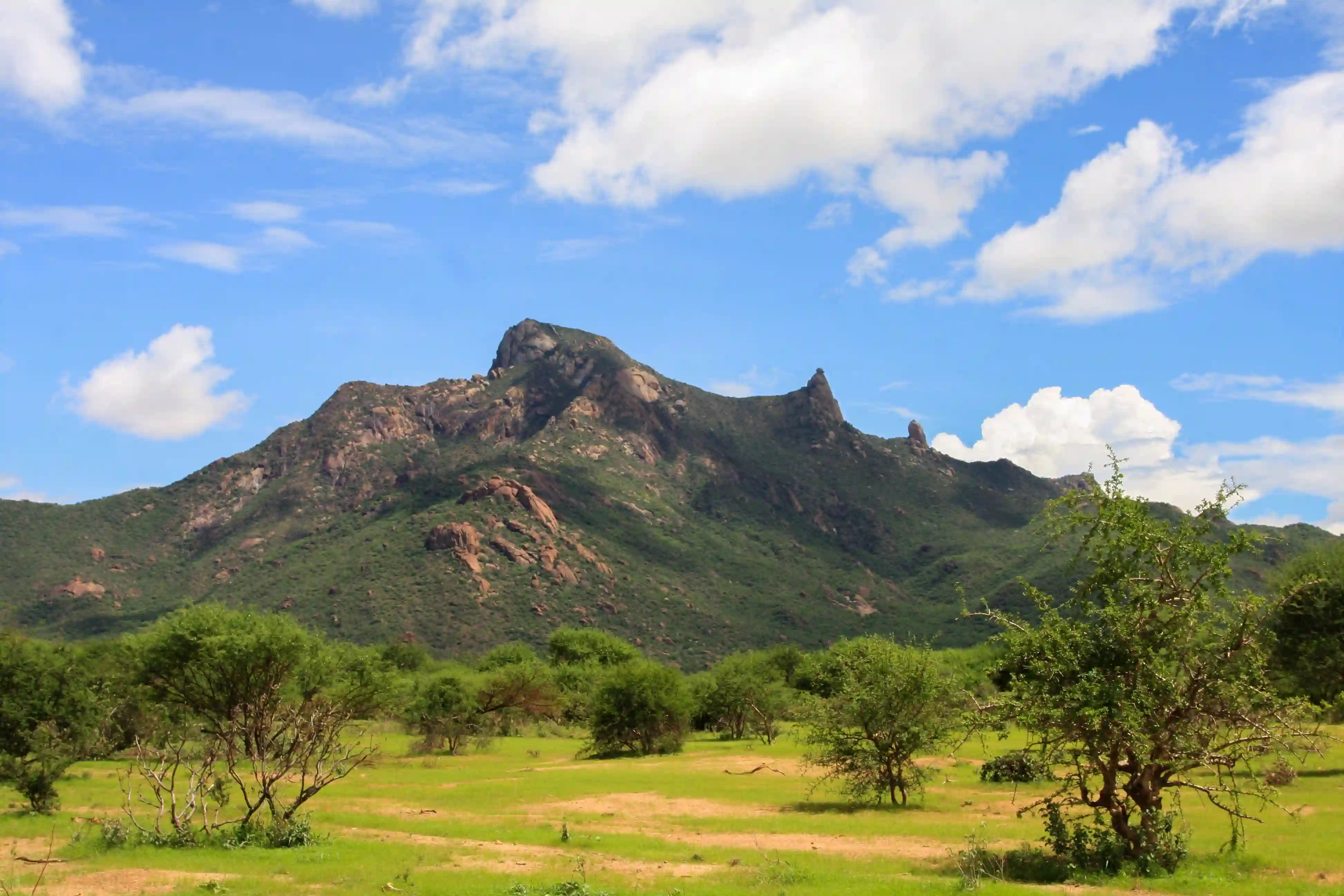 Mount kenya Area1