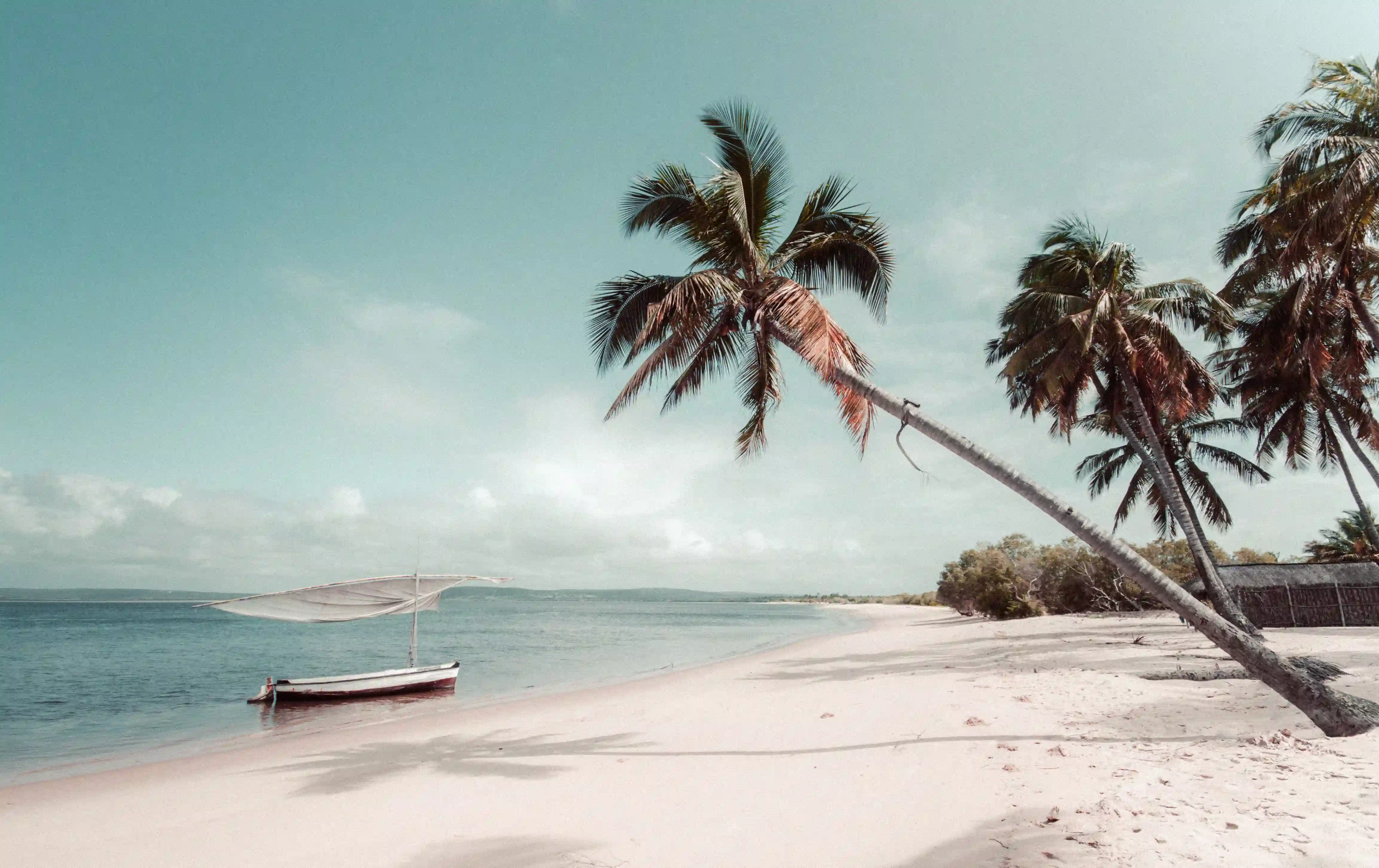 Strand, båd og palmer
