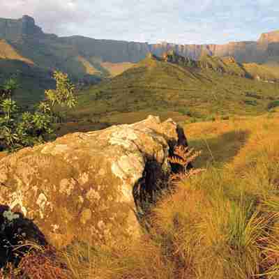 Drakensberg nord Amphitheatre, grønne landskaber, KwaZulu Natal, Sydafrika.