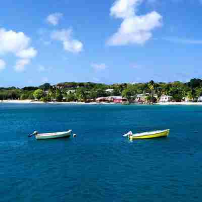 Sejlbåde ved Barbados' kyst