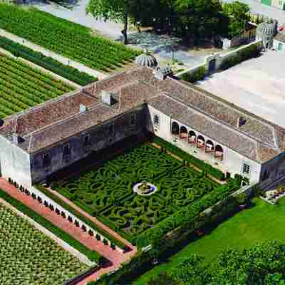 Quinta da Bacalhoa - wine