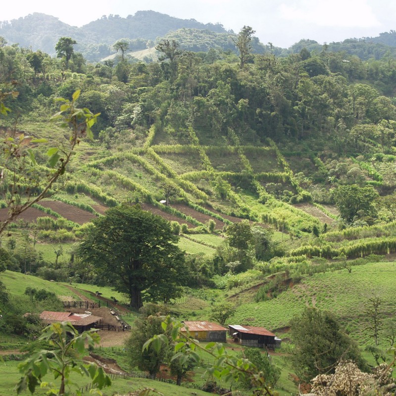 jinotega