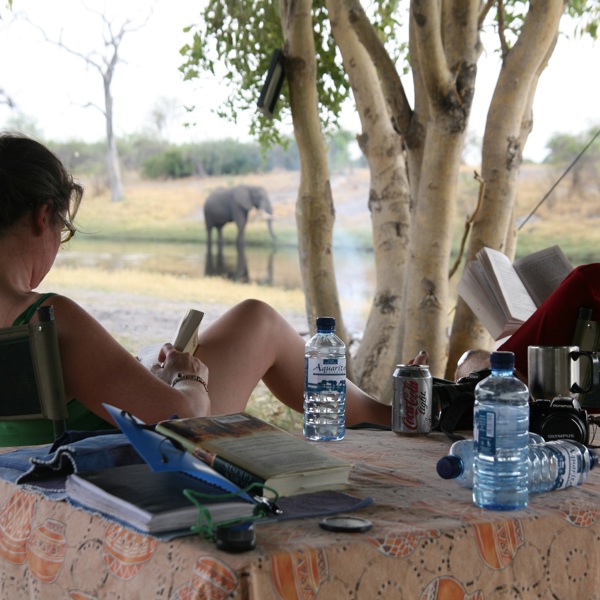Eftermiddagshygge ved campen med elefant