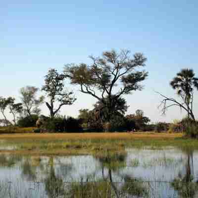 Okavango Deltaet