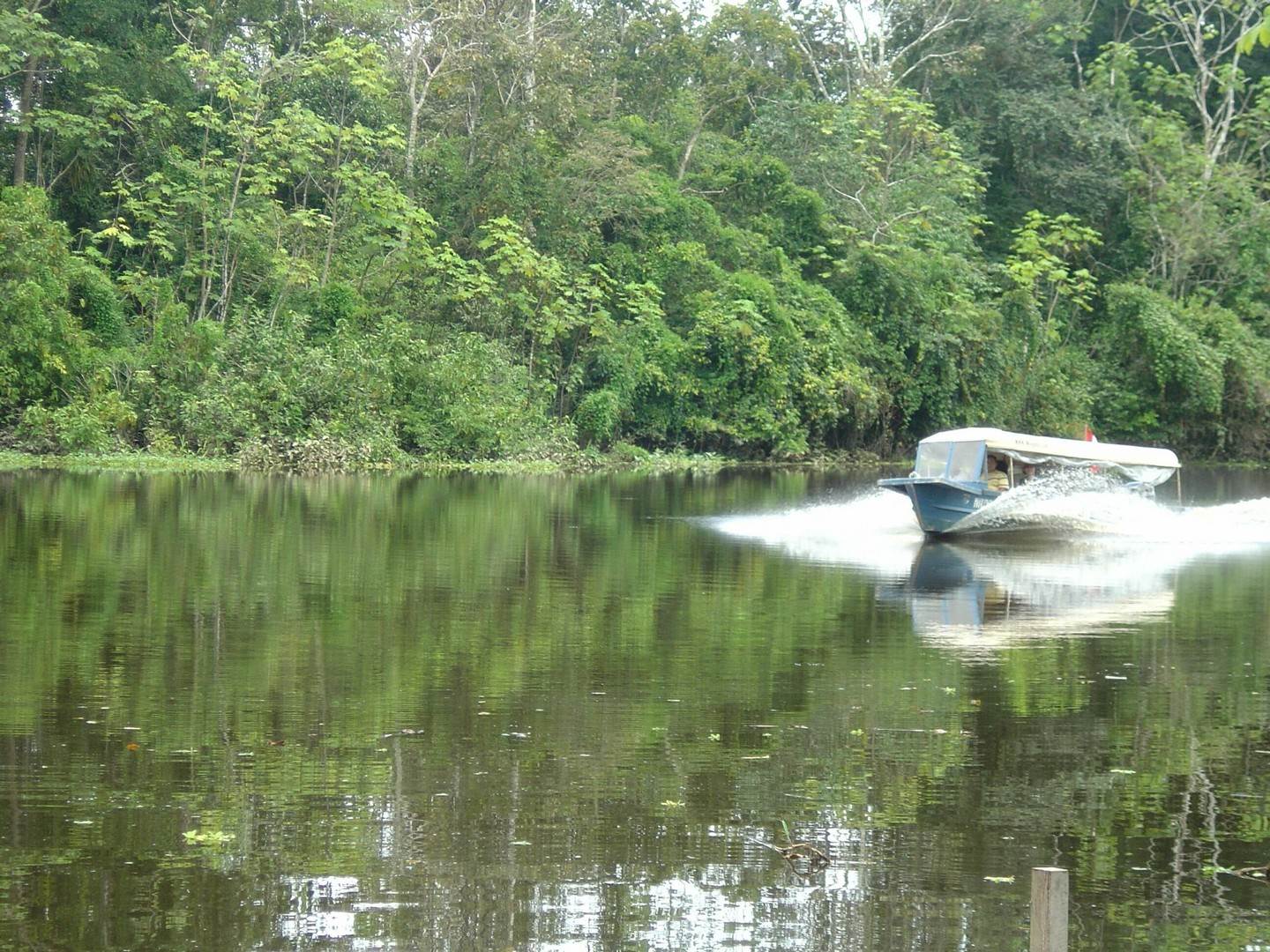 Amazonas i Peru