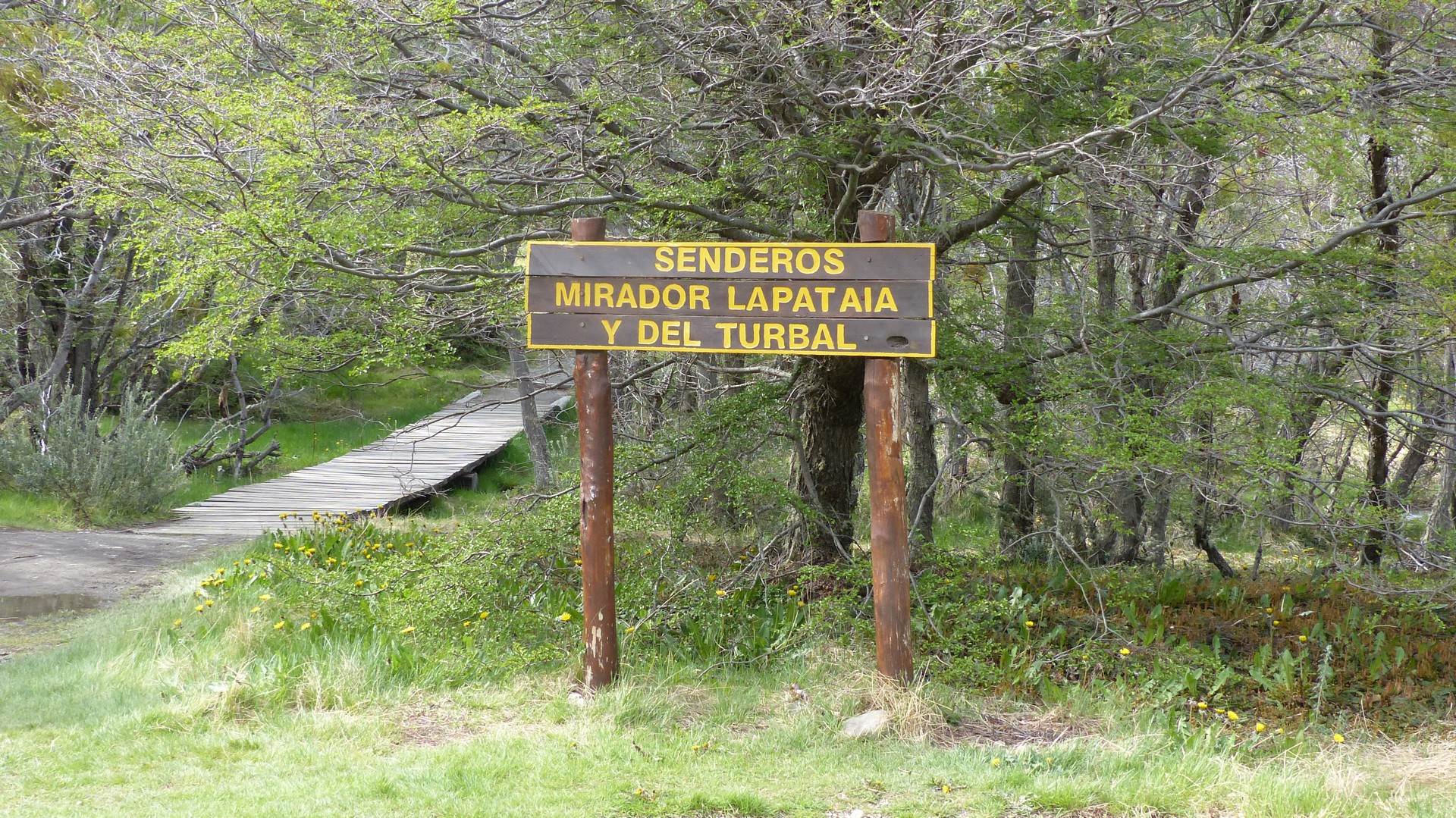 Trekking i Patagonien