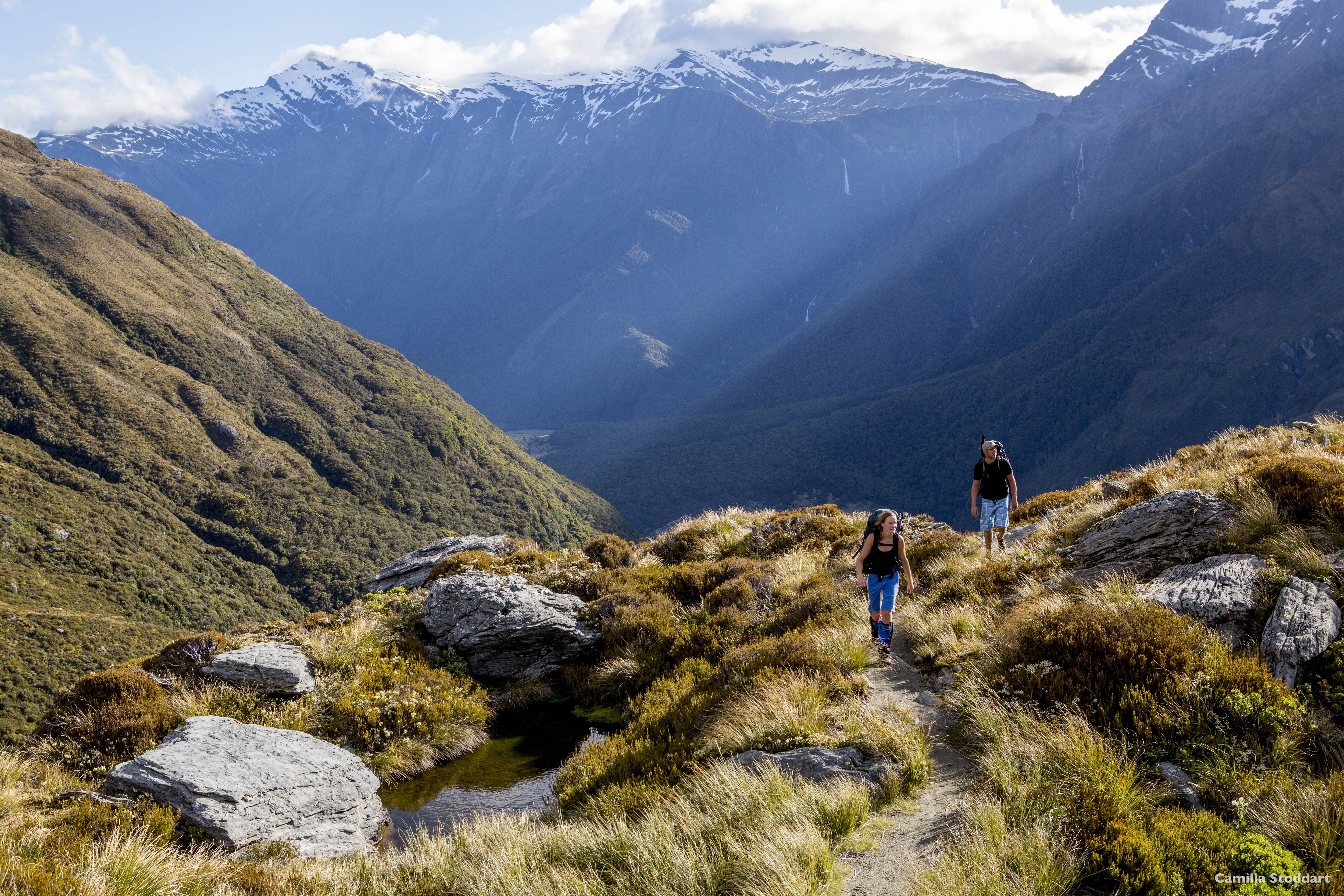 French Ridge Track, Mt Aspiring National Park, Lake Wanaka, New Zealand